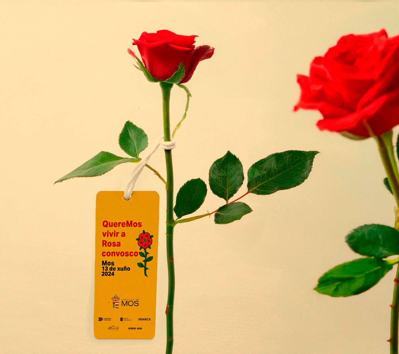 40246fdr24_etiqueta_rosa_4_fiesta_de_la_rosa