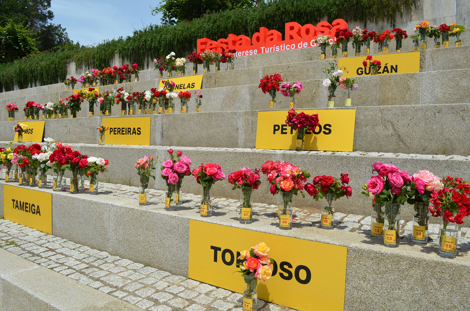 62237corporeos_festa_da_rosa_24