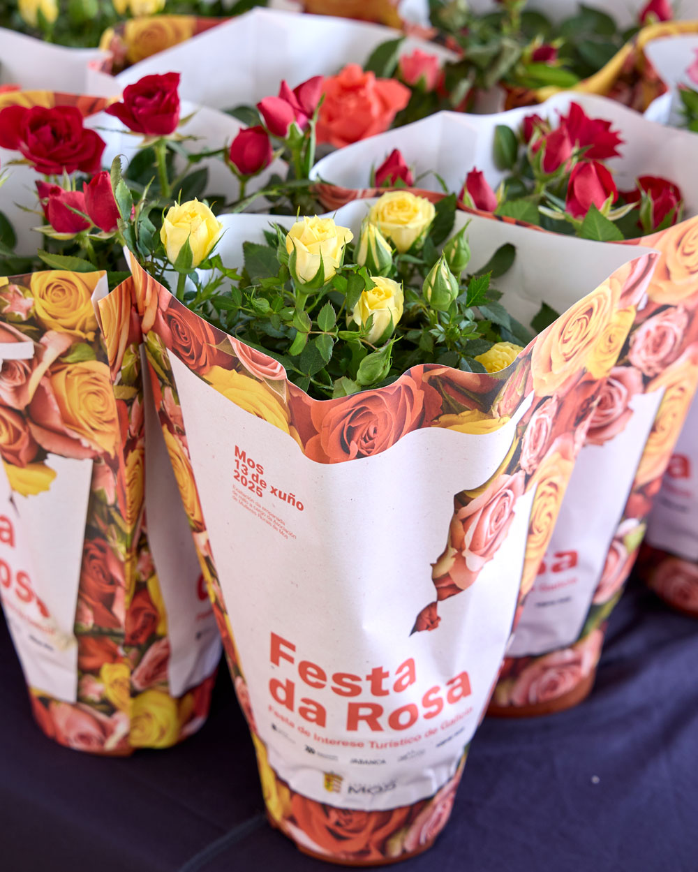 1747510_fr_diplomas_botella_fiesta_rosa_2025
