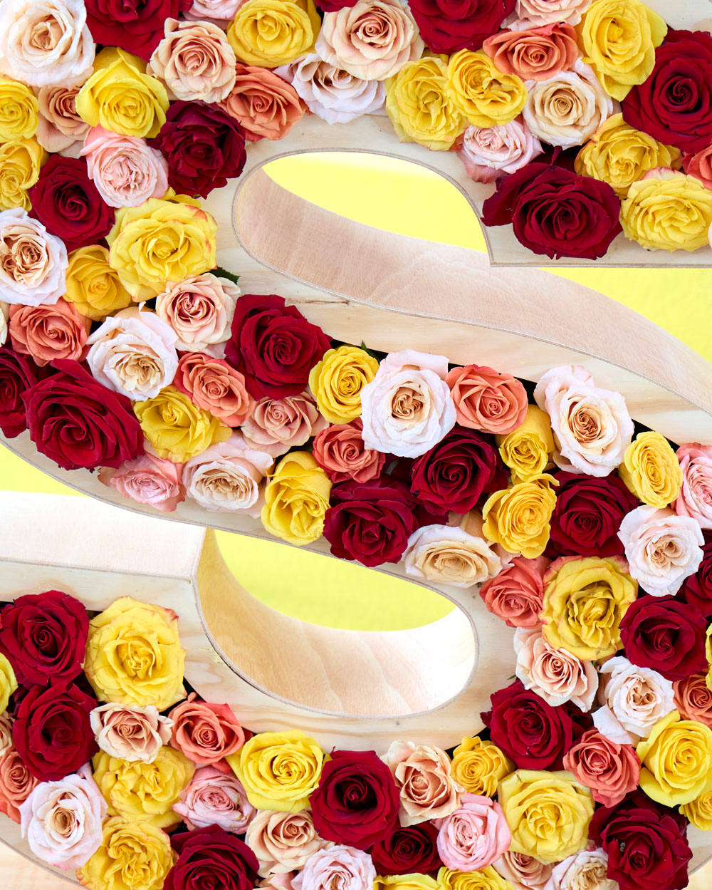 1786512_fr_corporeo_letras_fiesta_rosa_2025