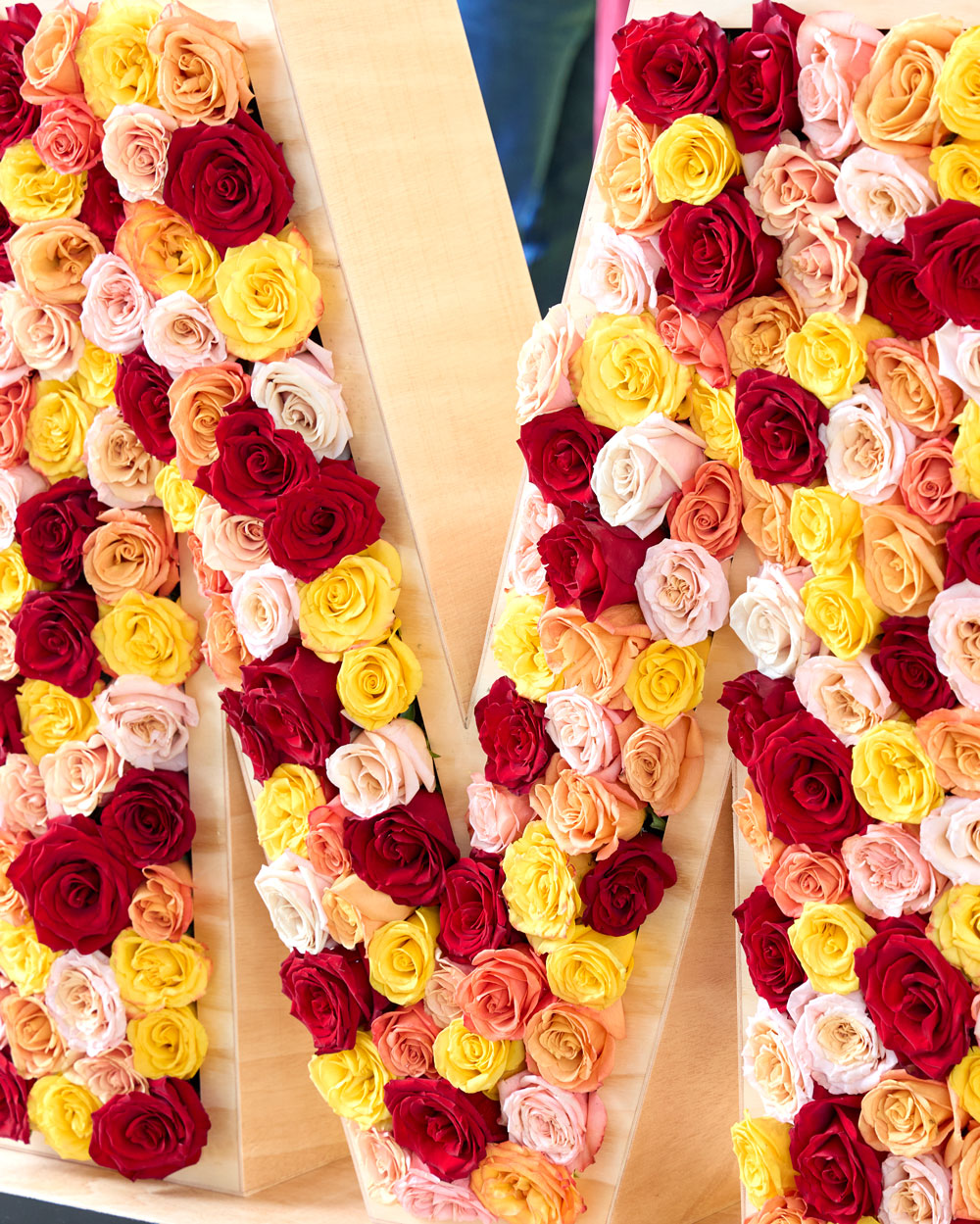 3318311_fr_corporeo_letras_fiesta_rosa_2025