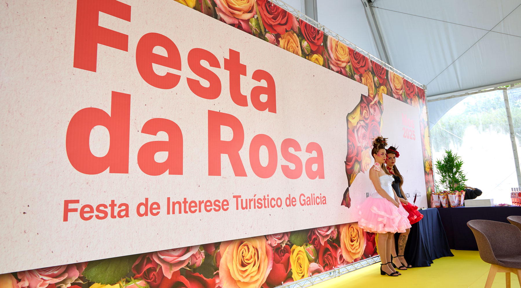 3919115_fr_lona_fiesta_rosa_2025
