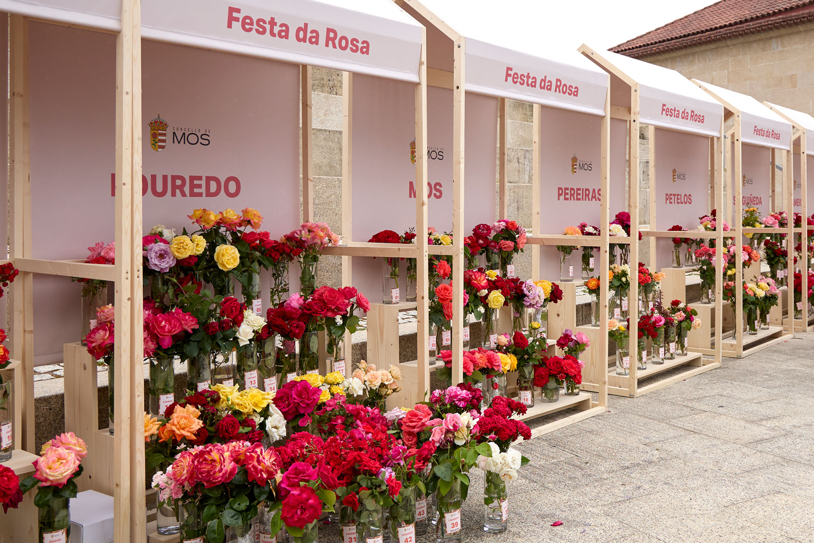 4091516_fr_fiesta_rosa_2025
