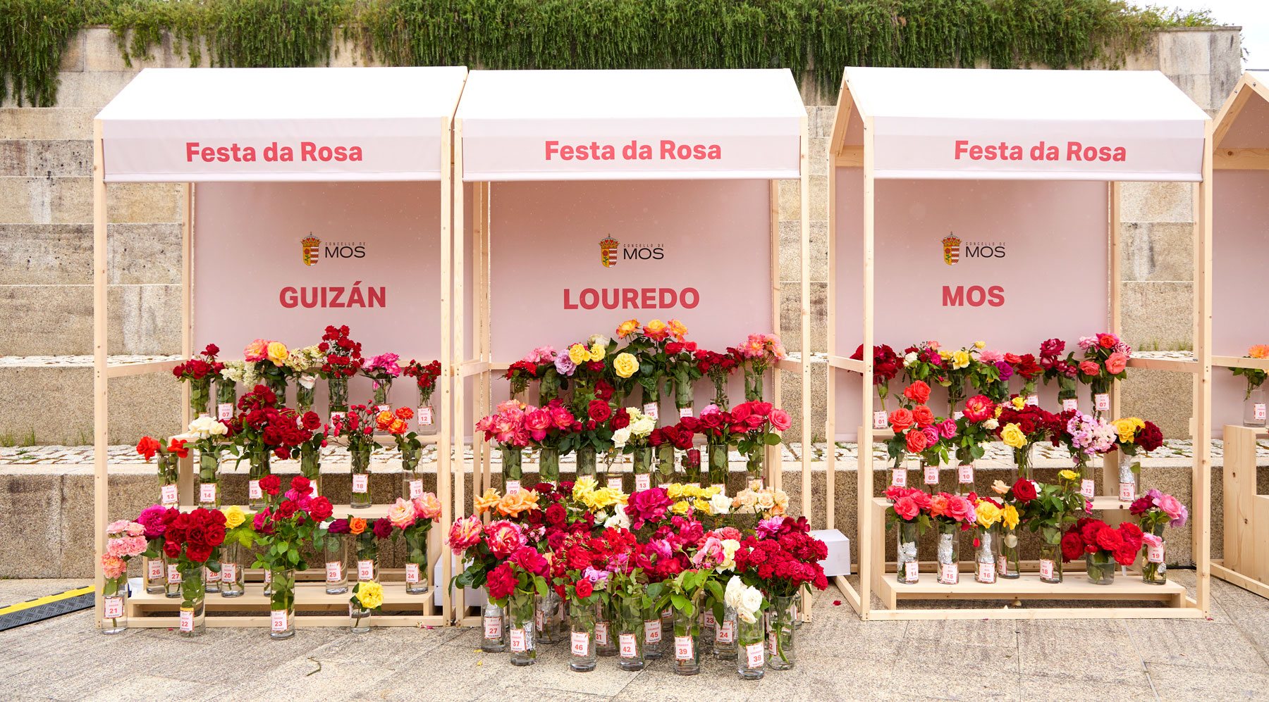 6452014_fr_corporeo_letras_fiesta_rosa_2025