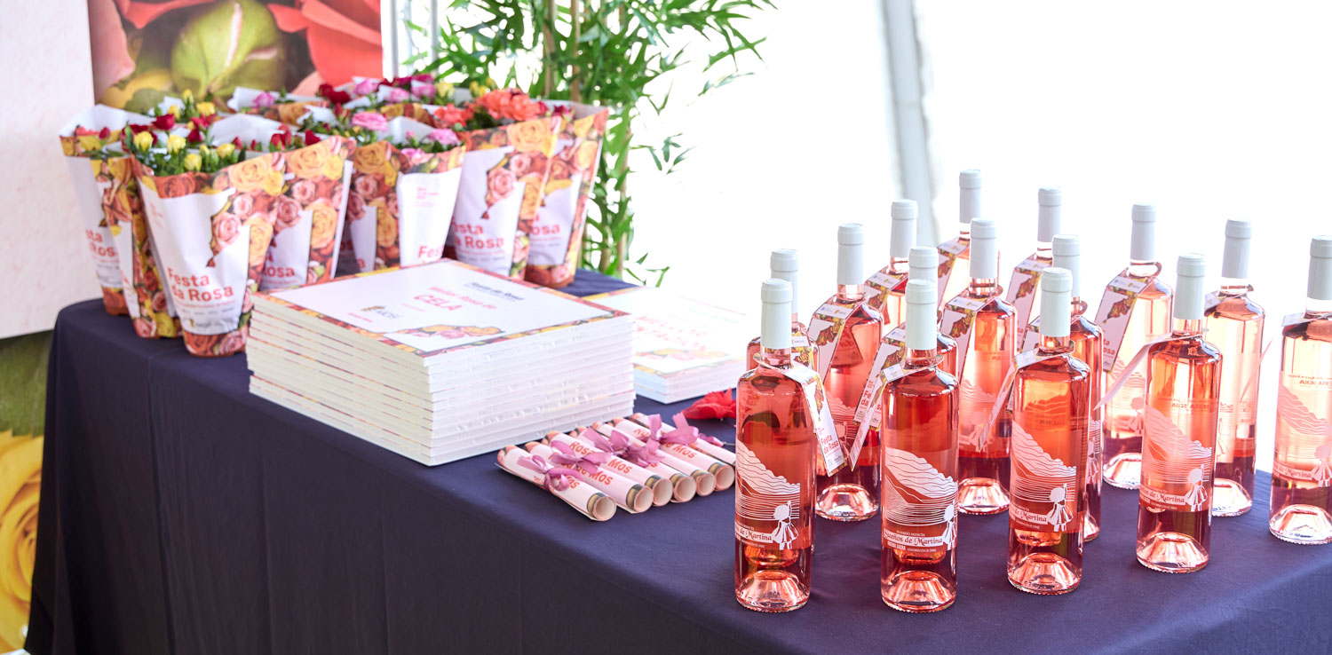 6595906_fr_aplicaciones_fiesta_rosa_2025