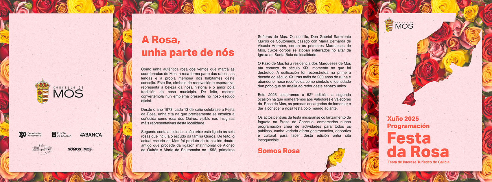 6738229_fr_programa_fiesta_rosa_2025