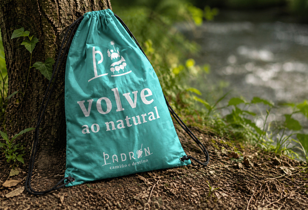 2460008_padron_mochila_proyecto_web_naranjalimon