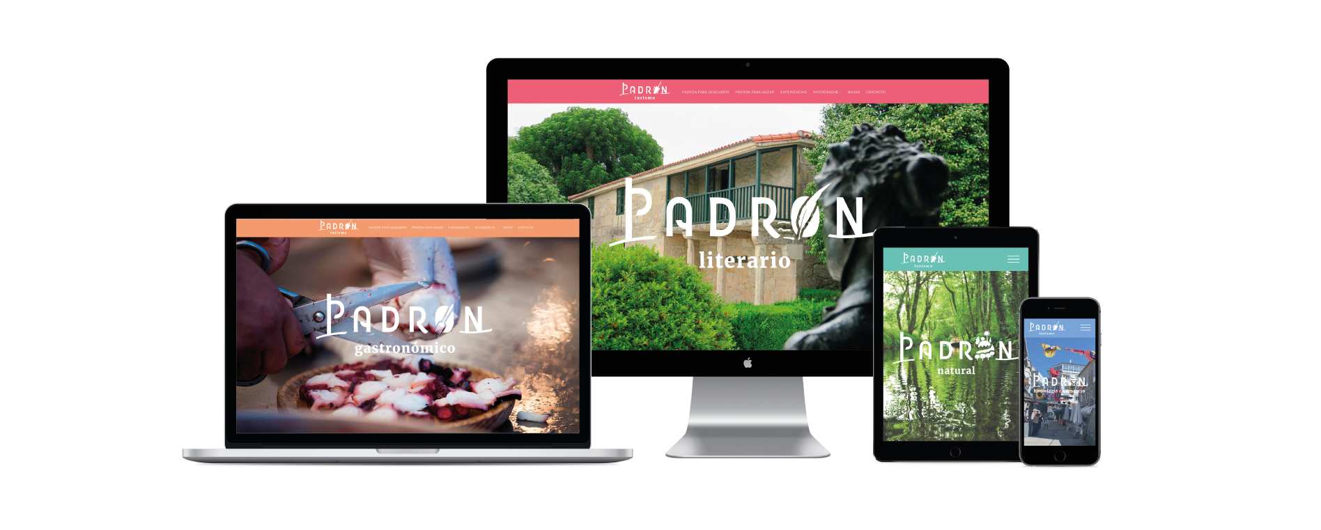 5354907_padron_pantallas_proyecto_web_naranjalimon