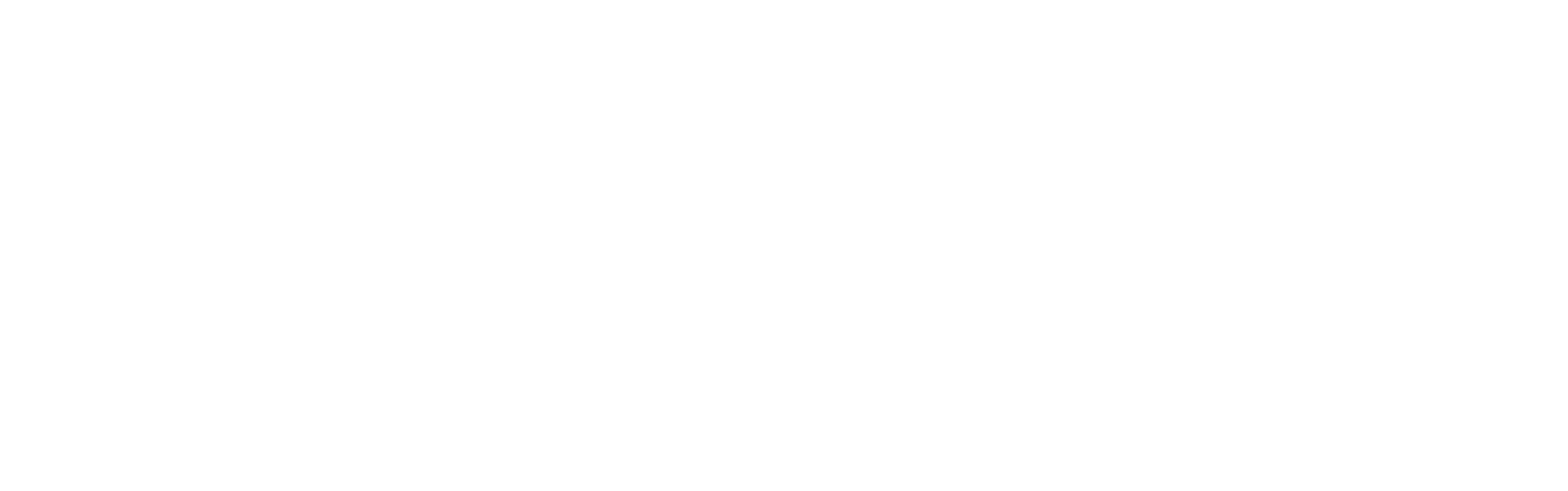 8234100_padron_marca_proyecto_web_naranjalimon_2