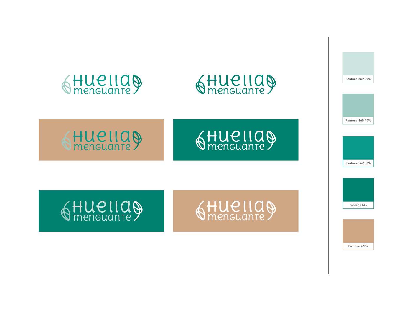 67561hm_colores