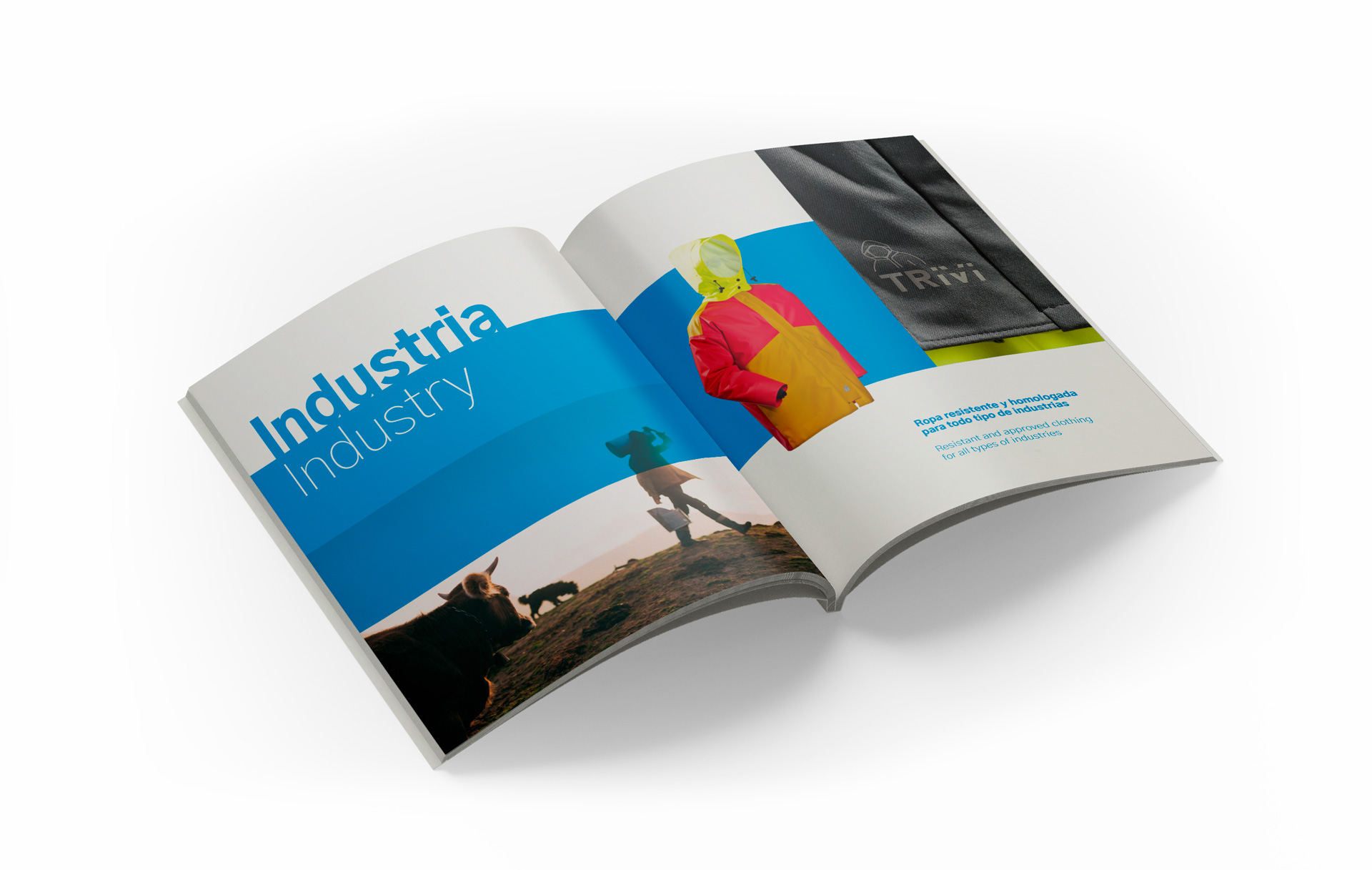 16456trivi_industria