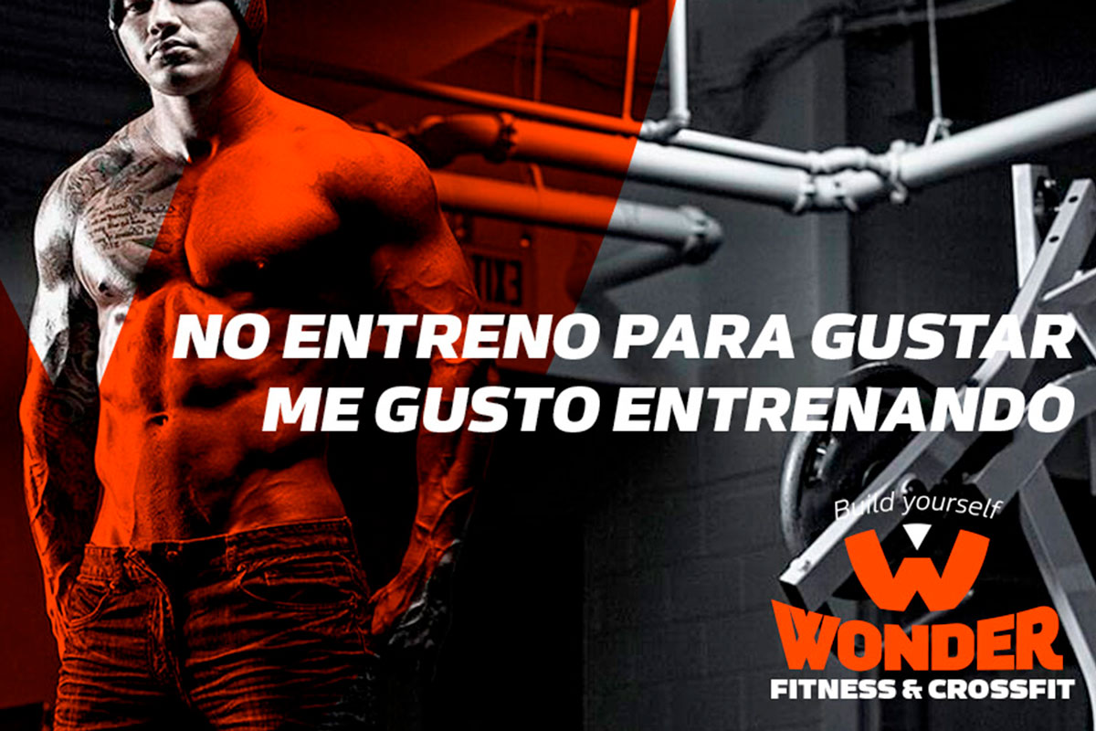 30979wonder_grafica_02