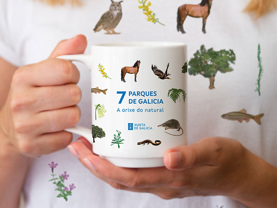 313567_parques_taza_2