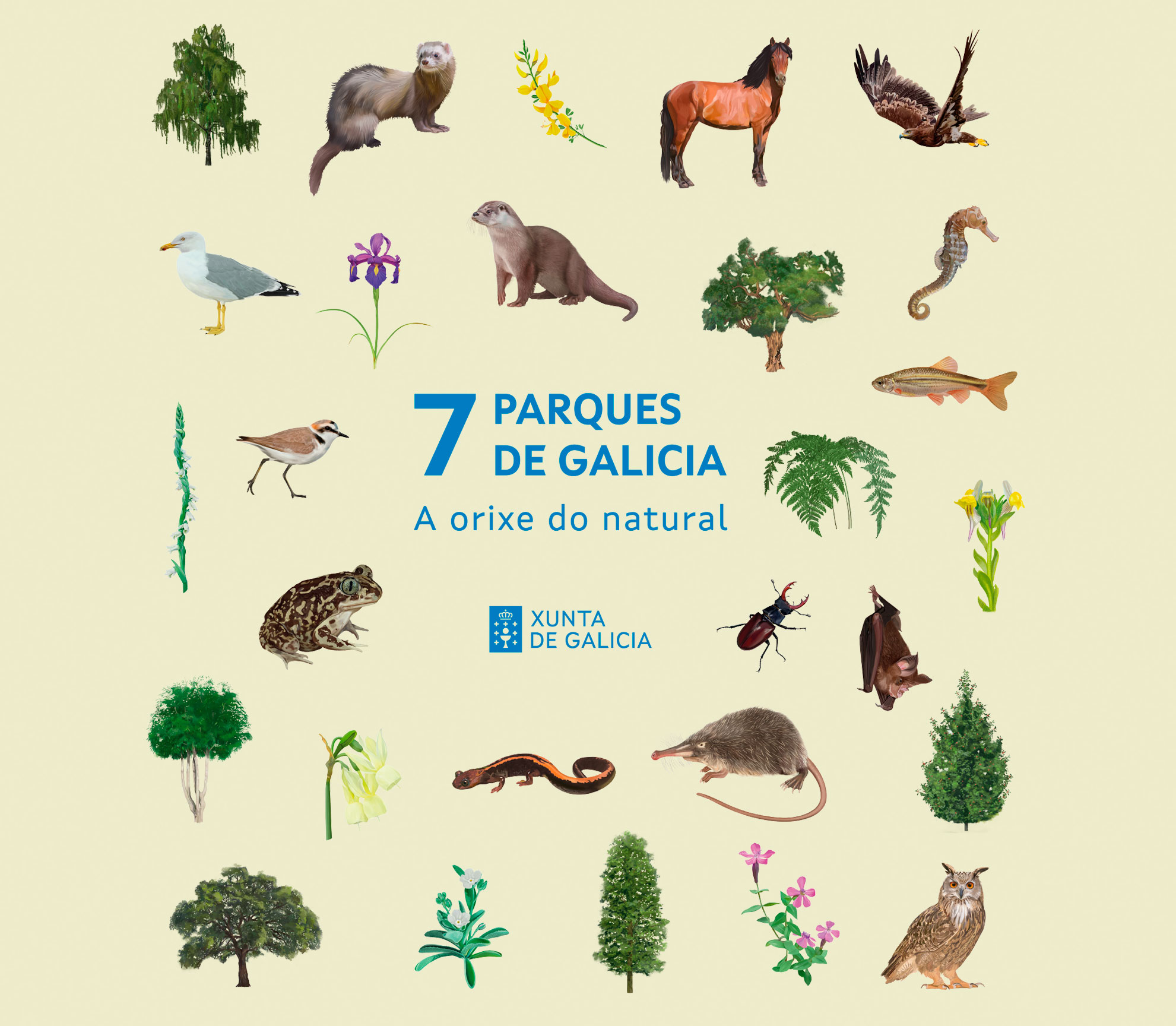 377167_parques_galicia_ilustraciones_completa