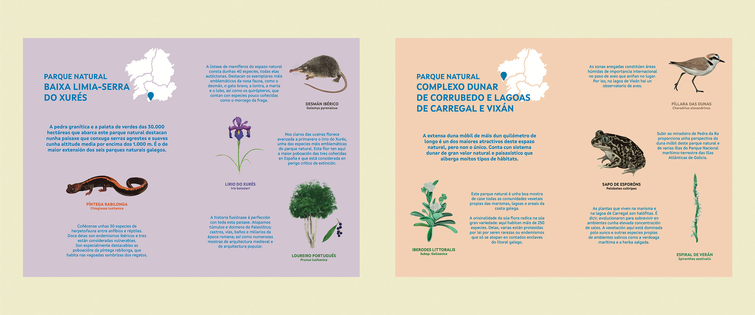 704487_parques_galicia_libreta
