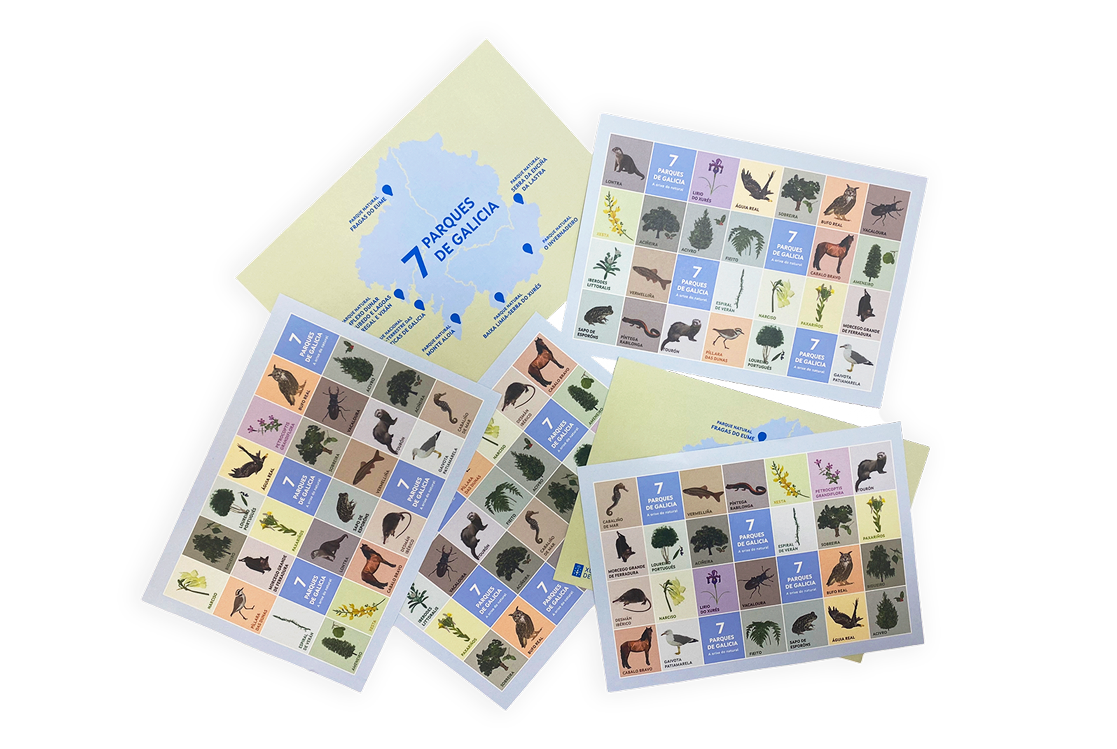 765617_parques_galicia_bingo