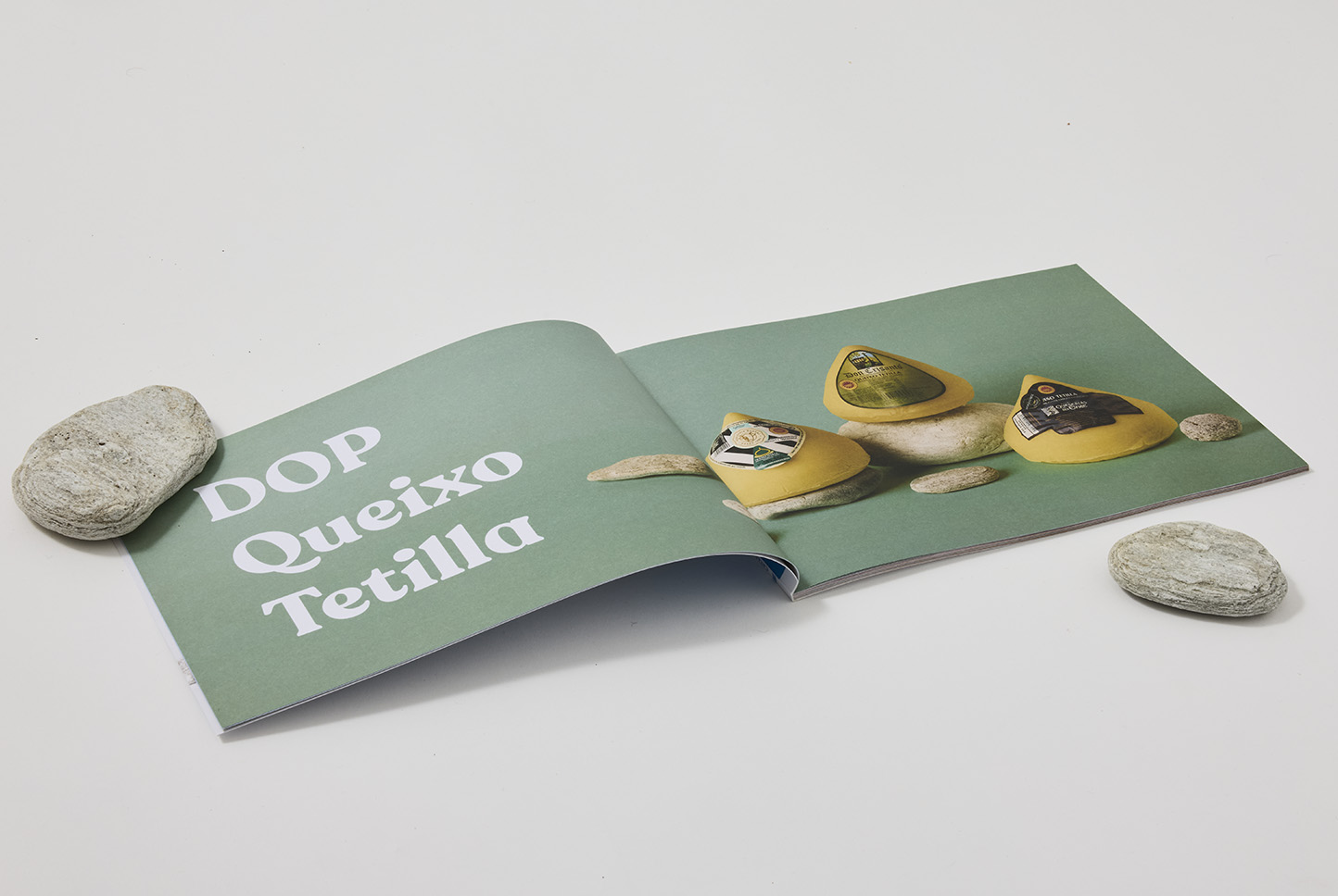 25077cdg_catalogo_quesos_mieles_catas_de_galicia_2023_tetilla